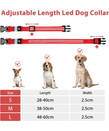 Buy Waterproof Luminous Dog Collar - Adjustable LED Flashing Light for Small & Medium Dogs | Enhanced Night Visibility (Red 28-40cm) - Buy Online on GoSupps.com