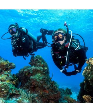TUSA SP-0101 Hyperdry Elite II Diving Snorkel - Black/Fishtail Blue - Buy Online on GoSupps.com