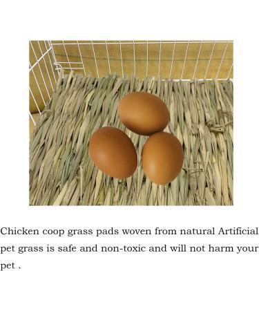 Handwoven Grass Nesting Box Pads for Chickens and Small Animals - Set of 6 Natural Straw Mats - Buy Online on GoSupps.com