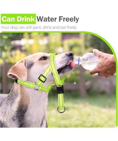 Buy Weesiber Soft Dog Handlebars - Adjustable Padded Halter with Reflective Stripes for Training & Walking | Large Green - No Pulling Comfortable Design - Buy Online on GoSupps.com