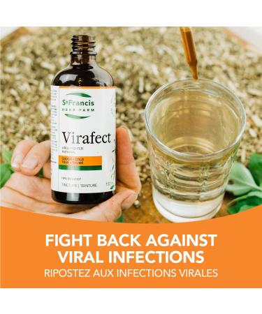 St. Francis Herb Farm Virafect - Immunity Booster Herbal Supplement - Immune System Booster - Holy Basil - Echinacea - Andrographis Paniculata - Cold and Flu 50mL - Buy Online on GoSupps.com