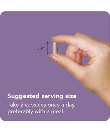 Vitamin Bounty Elderberry Capsules 5-in-1 Blend with Zinc, Vitamin C, Garlic & Echinacea - Immune Support Supplement, Non-GMO - 60 Count - Buy Online on GoSupps.com