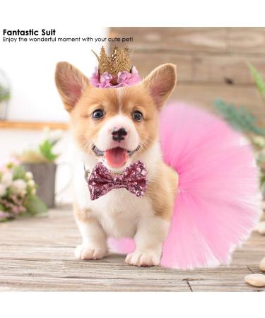 Nicoone Dog Tutu Rock Fly Crown Hat Set | Cute 3-Piece Outfit for Small Dogs & Cats | Perfect Dog Party Gift - Buy Online on GoSupps.com