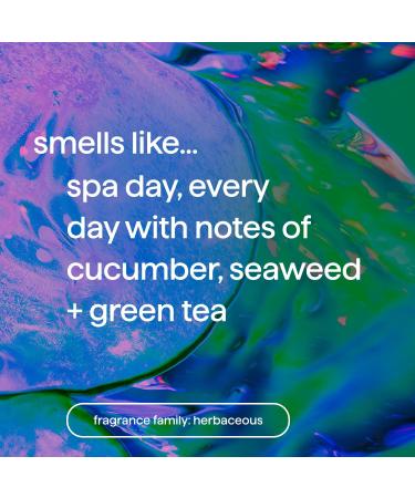 Method Deodorant Daily Zen - Cucumber Seaweed & Green Tea 24 Hour Odor Protection 2.65 oz | Shop Internationally - Buy Online on GoSupps.com