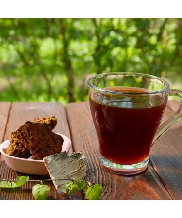 Organic Chaga Mushroom - Wild Collection from Finland - 100g for Chaga Tea - Natural Untreated & Pollutant-Free - Buy Online on GoSupps.com