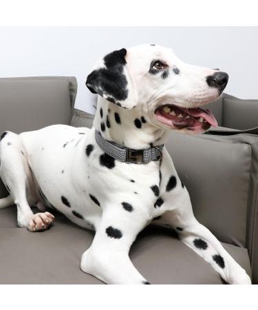 Adjustable Black Checkered Dog & Cat Collar | Unique Style Paws | Small & Medium Sizes - Buy Online on GoSupps.com