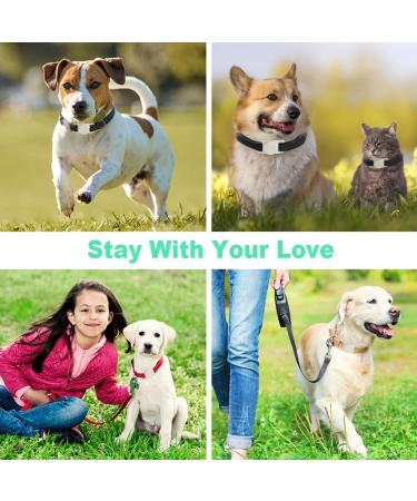 Shop Ainiv Waterproof Silicone Case for Apple Airtag - Perfect Pet Accessory Bright Green for Dogs & Cats - Buy Online on GoSupps.com