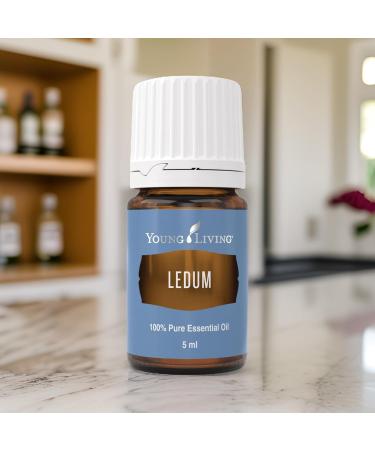 Young Living Ledum Essential Oil - 5ml | Natural Meditation & Yoga Diffuser Scent | Spiritual Cleansing & Harmonizing Aroma for Prayer & Massage - Buy Online on GoSupps.com