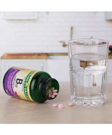 Spring Valley Vitamin B12 Quick-Dissolve Tablets - 500 mcg Cherry Flavor 120 Tablets - Luall Sticker Included - Energy Metabolism Support - Buy Online on GoSupps.com