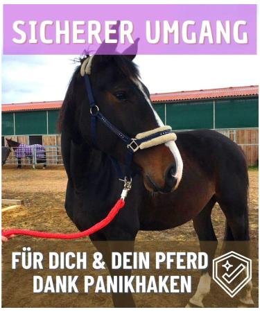 Lead Rope with Panic Hook for Horses Ponies & Donkeys - 1.60m Stylish Designs (Red) - International Shipping Available - Buy Online on GoSupps.com