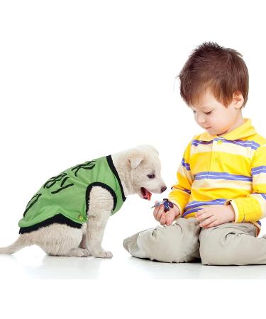 8-Piece Dog Shirts with Funny Letters | Summer Pet T-Shirt Set for Dogs and Cats | Breathable and Soft Dog Outfit | Cool Puppy Shirts | Classic Pattern - Medium - Buy Online on GoSupps.com
