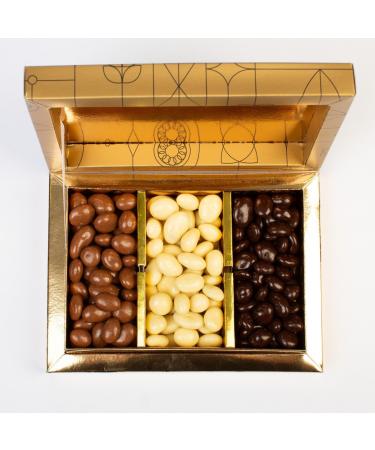 Sweetland's Coated Raisin Medley - Deluxe Trio Box | 450g | Milk Dark Chocolate & Yoghurt-Coated Delights | Ideal Gift for Dinner Parties - Buy Online on GoSupps.com