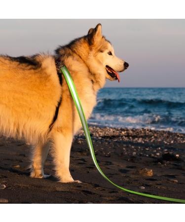 Laroo 10m Reflective PVC Dog Leash - Waterproof Drag Line for Small & Large Dogs | Night Walking Training Lead - Green - Buy Online on GoSupps.com