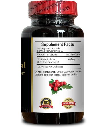 Natural Hawthorn Berry Extract Herbal Antioxidant & Natural Wellness Formula Daily Immunity Balance Support Vegan Non-GMO 1 Bottle 60 Capsules - Buy Online on GoSupps.com