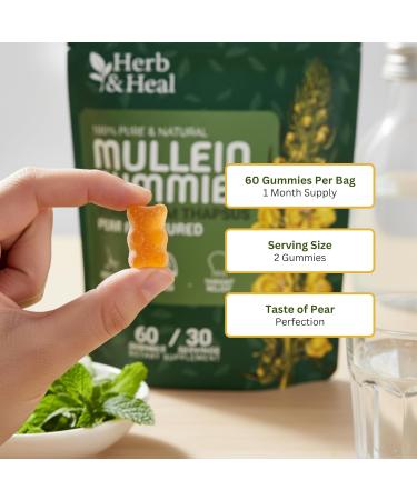 (4-in-1) Mullein Gummies for Lungs Cleanse & Detox | Organic Mullein Leaf Gummies for Lung Health Heavy Smokers Breathing Support | Ashwagandha Quercetin & Bromelain Vegan Respiratory Cleanse - Buy Online on GoSupps.com
