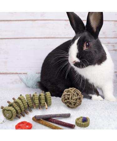 14Pcs Bunny Enrichment Toys Natural Hamster Chew Sticks Molar Guinea Pig Chew Ball Different Flavors Grass Cakes Teeth Grinding Chinchilla Treats for Syrian Hamster Rabbit Gerbil(H02) - Buy Online on GoSupps.com