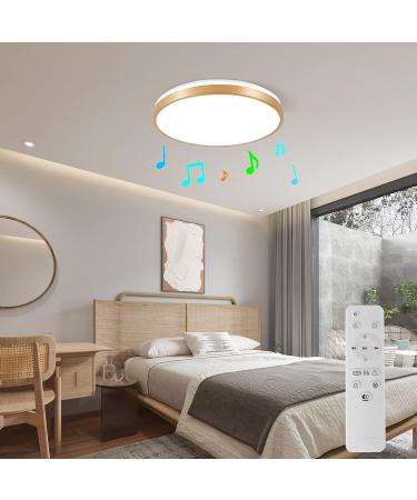 Horevo 30cm Bluetooth Ceiling Lamp - Dimmable & Color-Changing Remote Control 24W Champagne Gold Light & Speaker for Kids Room and Bedroom - Buy Online on GoSupps.com