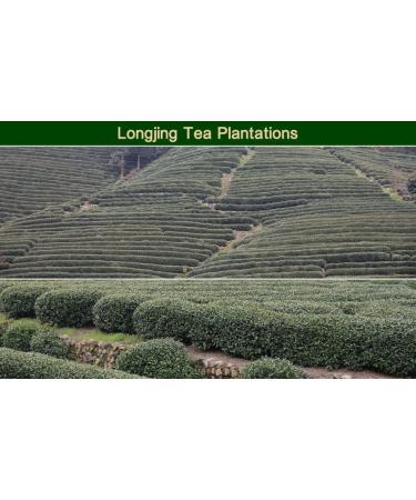 Dragonwell Longjing Tea(Yu Qian) Dragon Well Green Tea Leaf Picked Before Grain Rain Day 8.8oz./250g 3rd Class  - Buy Online on GoSupps.com