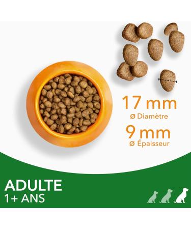 IAMS Senior Dog Food with Chicken 3 kg - Buy Online on GoSupps.com