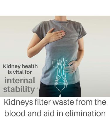 SpeedyVite Kidney Cleanse Supplement - 2 fl oz Drops - Buy Online on GoSupps.com