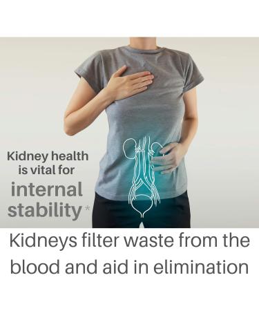 Kidney Cleanse Supplement - 120 Vegan Capsules for Detox & Health - Buy Online on GoSupps.com