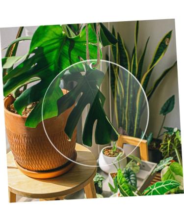 VILLCASE 40 Pcs Acrylic Round Sheet Cake Pan Acrylic Blanks Sheer Panels Acrylic Blank Circle Coaster Wafer - Buy Online on GoSupps.com