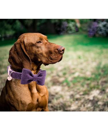 Dogwong Violet Dog Collar with Removable Fly - Adjustable Gift for Small to X-Large Dogs Perfect for Girls - Pack of 1 - Buy Online on GoSupps.com