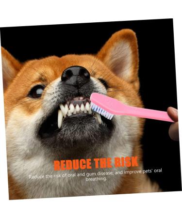 BESPORTBLE 24 Pcs Double Head Dog Toothbrush Pet Dual-head Brush Pet Toothbrush Pet Toothpaste Pet Oral Dogs Pp 1 count (Pack of 1) As Shownx3pcs - Buy Online on GoSupps.com