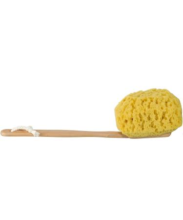 Premium Long Handled Bath & Shower Body Brush | Faux Sea Sponge Back Scrubber for Exfoliating & Cleansing - International Shipping Available - Buy Online on GoSupps.com