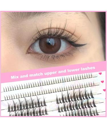 TAGYUO Eyelash Set - Combination of Upper and Lower False Eyelashes 80 Strands for Lower Eyelashes 78 Tufts for Upper Eyelashes 11 mm Length Ideal for Makeup Artists and Personal Use - Buy Online on GoSupps.com