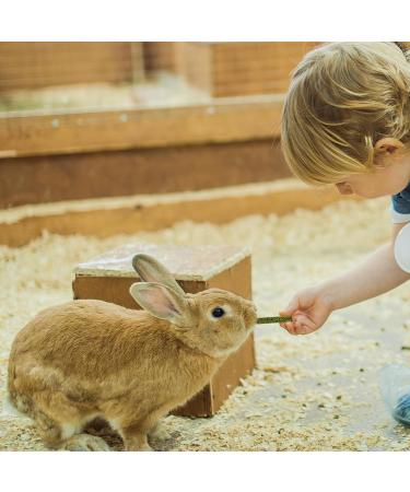 Tokayife 400g Timothy Hay Sticks for Rabbits Guinea Pigs Hamsters & Chinchillas - 40 Treats for Healthy Pets - Buy Online on GoSupps.com