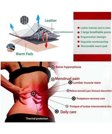 Buy Adjustable Leather Waist Belts for Back Pain Relief | Lumbar Support for Scoliosis & Herniated Disc | S M Sizes Available - International Shipping - Buy Online on GoSupps.com