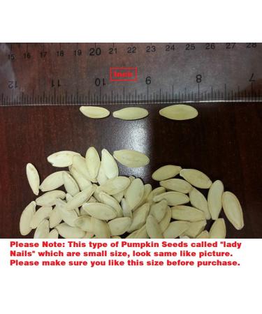 Roasted Pumpkin Seeds in Shell Sea Salted (1 lb) - Premium Quality Snack - Buy Online on GoSupps.com