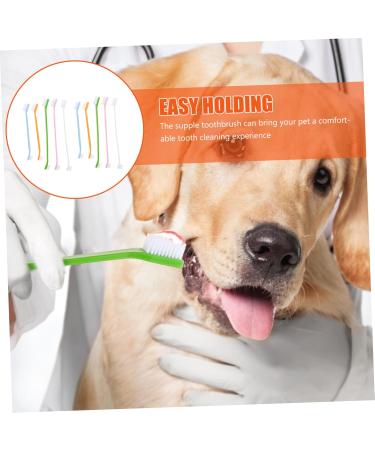 BESPORTBLE 20 Pcs Pet Toothbrush Pet Toothpaste Pet Teeth Cleaning Dog Oral Cleaning Toothbrush Dog Tooth Nylon 1 count (Pack of 1) Assorted Colorx2pcs - Buy Online on GoSupps.com