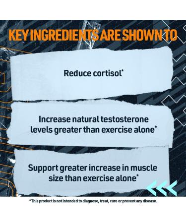 Blue Star Nutraceuticals STATUS - Testosterone Booster for Men - w/KSM 66 Ashwagandha - Invigorate Stamina Muscle Growth & Energy | Natural Test Booster Support - 90 Veggie Capsules - Buy Online on GoSupps.com