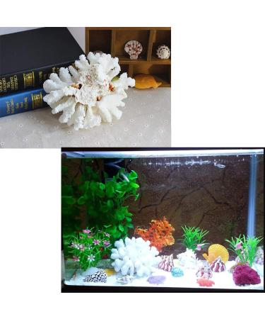 Buy Besimplle 2-Piece Artificial Coral Ornaments - Aquarium Resin Coral Decor & Underwater Sea Plants for Stunning Decor - Buy Online on GoSupps.com