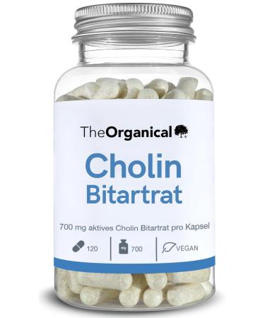 Theorganical Cholin high dose 700 mg |120 liver capsules |Made in Hamburg |Without additives & high -dose |Cholin capsules high dosed |Detoxify the liver |Choline Litart rate