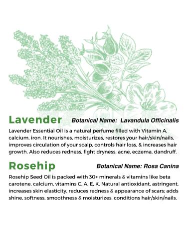 Multiuse Lavender & Rosehip Oil Medley - Hydrating Face Body & Hair Treatment - Natural Oils & Vitamin E - 2 oz - Buy Online on GoSupps.com