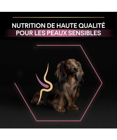 PURINA PRO PLAN | Small & Mini Adult 1+ Sensitive Skin | Rich in Salmon | Dry Food | Dog | 7kg Bag - Buy Online on GoSupps.com