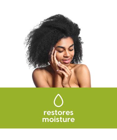 NutraBlast Tea Tree Oil Suppositories (12 Count) - Natural Intimate Deodorant for Women - USA Made - Buy Online on GoSupps.com