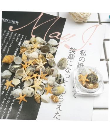 minkissy 1 Box Nail Art Decoration Nail Jewelry Shell Decor Conch Jewelry Nail Decorations for Nail Art Conch Shells Nail Decoration Nail Ornament 3d Nail Stickers Manicure - Buy Online on GoSupps.com