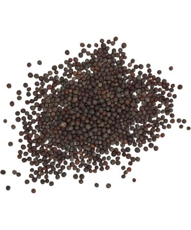 Moutarde brune graines enti res 125 g | Cuisine et moutarde maison - TRADITION NATURE - Buy Online on GoSupps.com