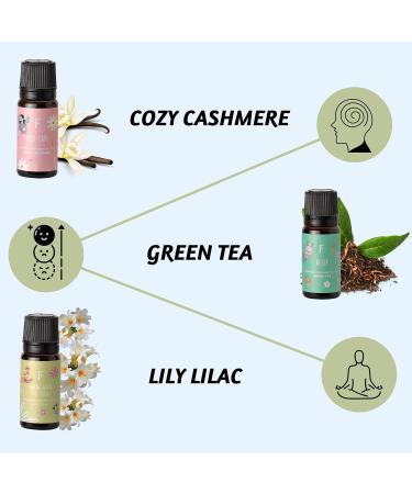 Folkulture Organic Essential Oil Set - Rose Lily Cashmere Opium Green Tea Ocean Salt Aromatherapy Diffuser Oil Scents - Self Love Club - 60ml - Buy Online on GoSupps.com