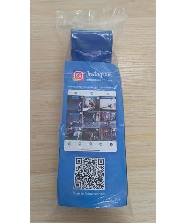 Iron Core Fitness Resistance Bands for Pull Up Assist - Strength Power Flexibility Training | Includes Ebooks & Workout Chart | #6 Blue - Buy Online on GoSupps.com