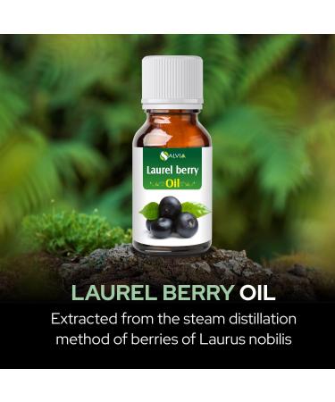Laurel Berry Oil - Pure Natural Essential Oil for Hair & Skin Care | DIY Cosmetic Grade | 100 ML - Buy Online on GoSupps.com