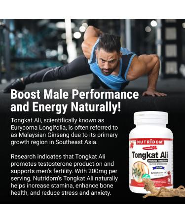 Nutridom Tongkat Ali Supplement for Men 200mg - Non-GMO Vegan Gluten Free Soy and Dairy Free Made in Canada (60 Veggie Caspules) - Buy Online on GoSupps.com