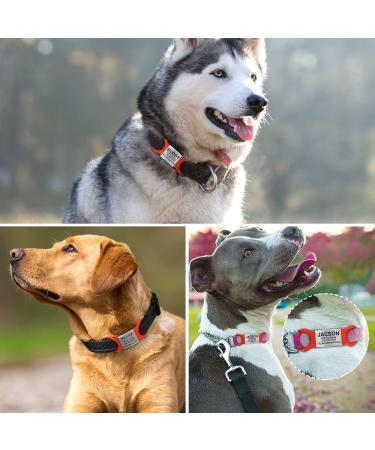 Tagme 2 Pack Personalized Dog Tags - Engraved for Small & Medium Breeds Red XL - Perfect Pet ID Solution - Buy Online on GoSupps.com