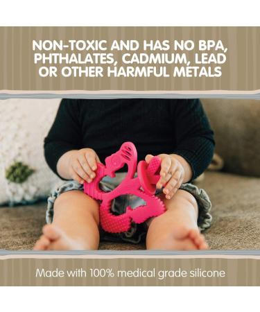 Chewbeads - Chewpal - 100% Silicone Teething Toy with Training Brush for Infants  Babies & Toddlers - Textured Baby Teether - Medical Grade Silicone  BPA Free & Phthalate Free Butterfly - Buy Online on GoSupps.com