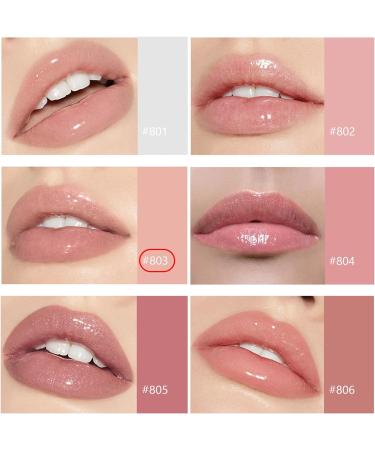 Hydrating Tinted Lip Gloss | Long Lasting High Pigment Lipstick | Moisturizing Plumping Lip Stain - Buy Online on GoSupps.com