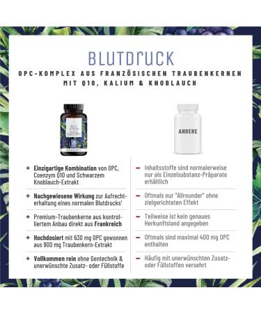 Nature Treu High-Dose OPC Grape Seed Extract 900mg - Vegan Blood Pressure Support with Q10 Potassium & Black Garlic - 90 Capsules - Buy Online on GoSupps.com
